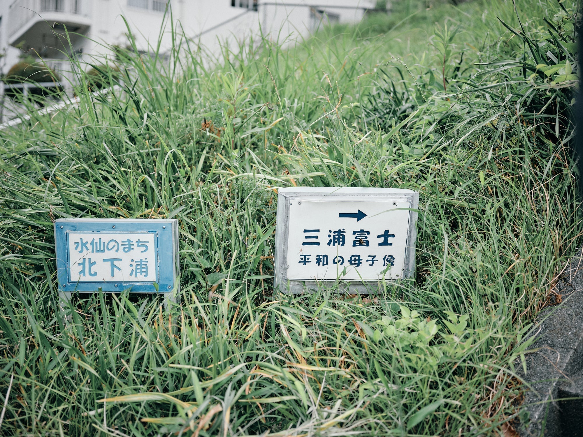 三浦富士へ with Hiker's LONE PINE