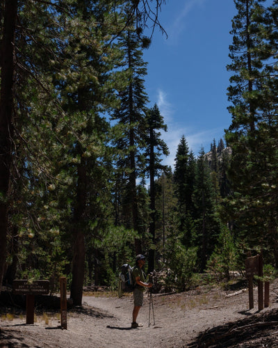 「シエラにつつまれて」その2