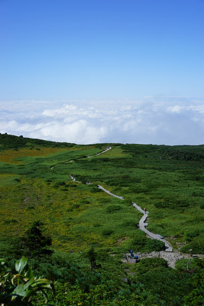 Mt.HAKUSAN 〜目の知識〜