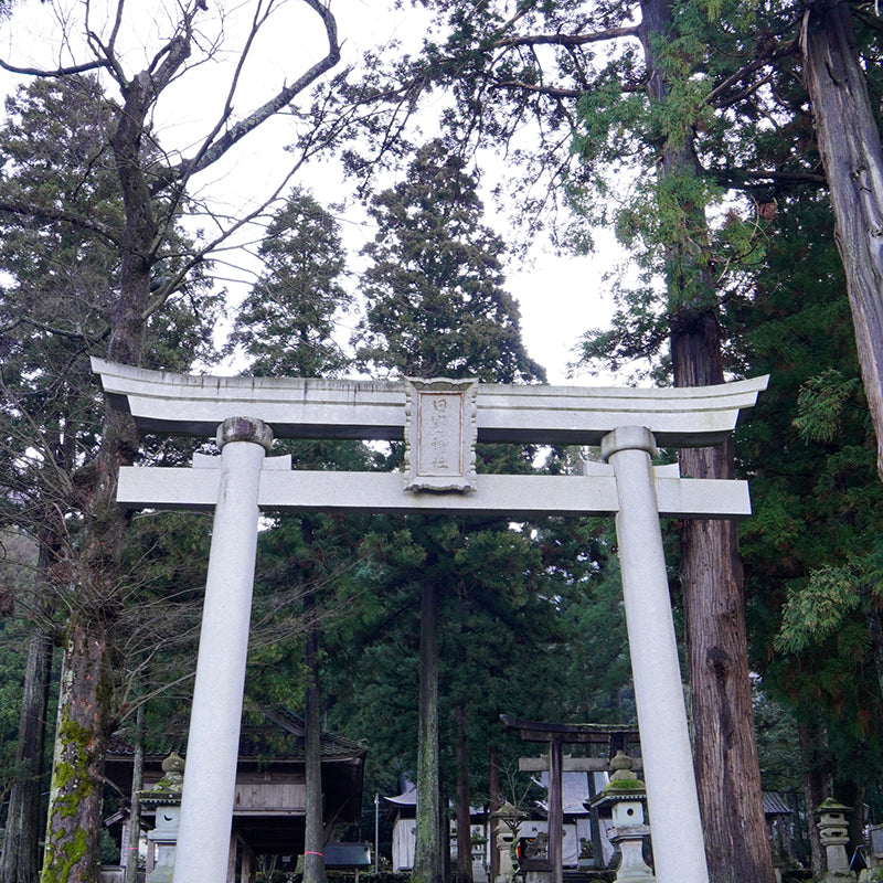 FLOAT 2019年も宜しくお願いします