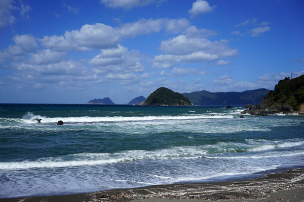 若狭路トレイルランに出展しました