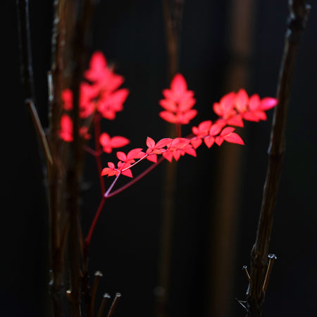 2015 新年のご挨拶