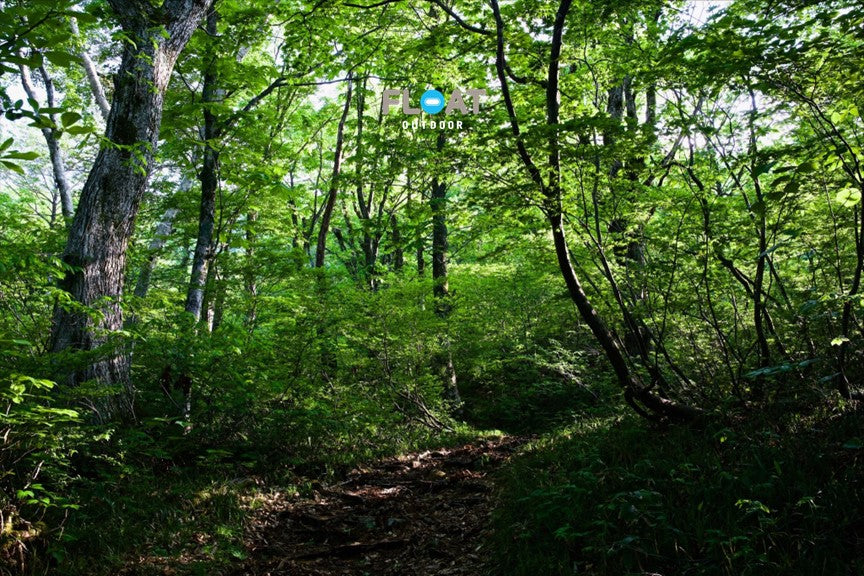 GW休暇のお知らせ